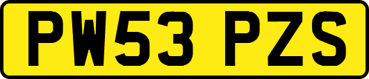 PW53PZS