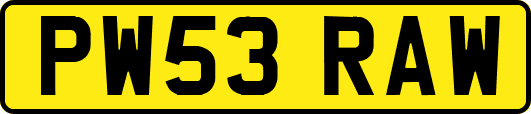 PW53RAW