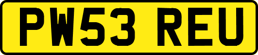 PW53REU