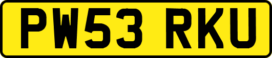 PW53RKU