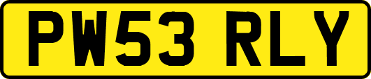PW53RLY