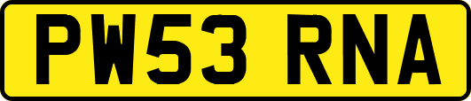 PW53RNA