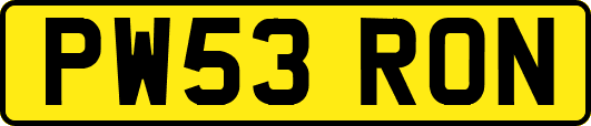 PW53RON