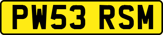 PW53RSM