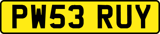 PW53RUY