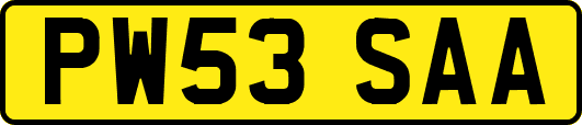 PW53SAA