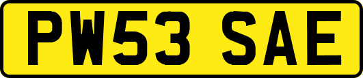 PW53SAE