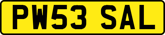 PW53SAL