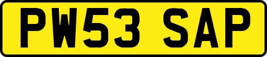 PW53SAP