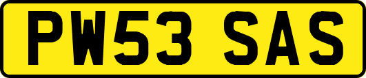 PW53SAS