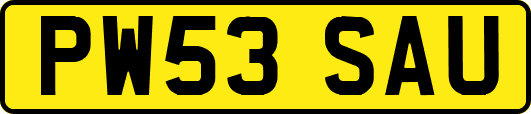 PW53SAU