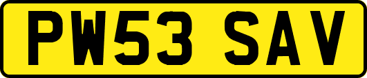 PW53SAV