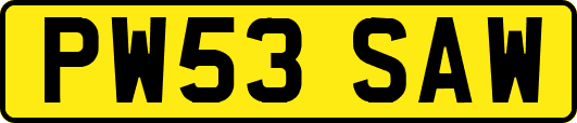PW53SAW