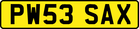 PW53SAX