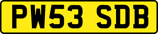 PW53SDB