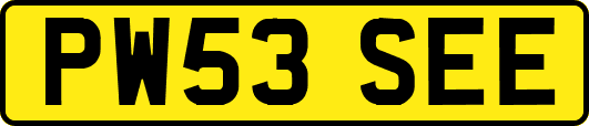 PW53SEE