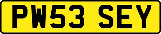 PW53SEY