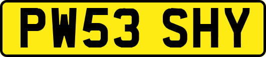 PW53SHY