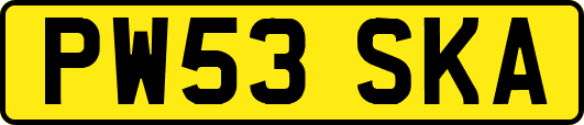 PW53SKA