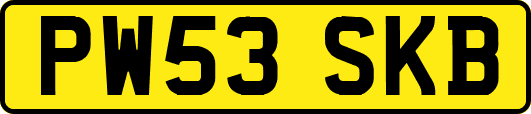 PW53SKB