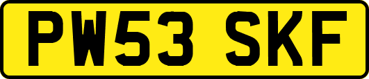 PW53SKF
