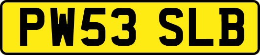 PW53SLB