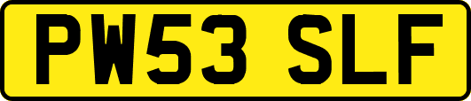 PW53SLF