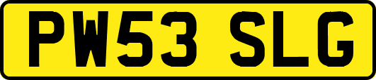 PW53SLG