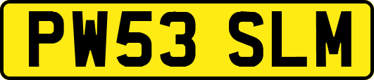 PW53SLM