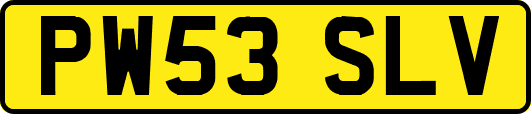 PW53SLV