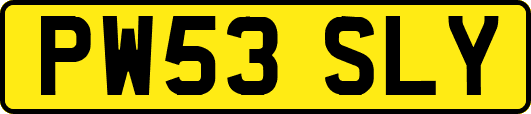 PW53SLY