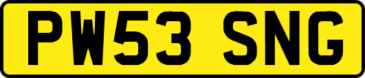 PW53SNG