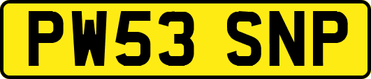 PW53SNP