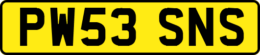 PW53SNS