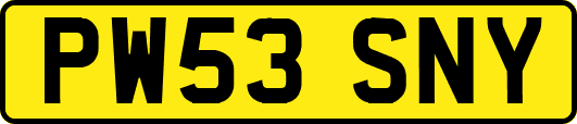 PW53SNY