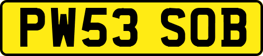 PW53SOB