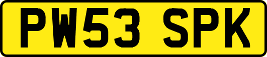 PW53SPK