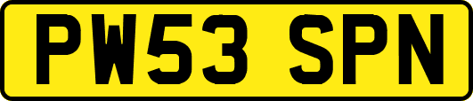 PW53SPN