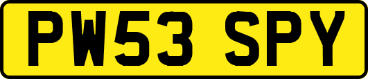 PW53SPY