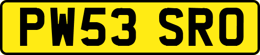 PW53SRO