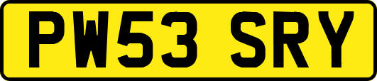 PW53SRY
