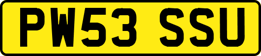 PW53SSU