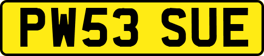 PW53SUE