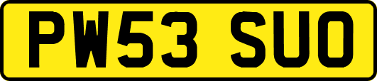 PW53SUO