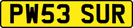 PW53SUR