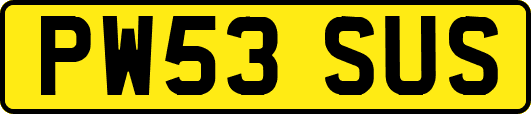 PW53SUS