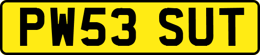 PW53SUT