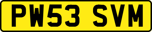 PW53SVM
