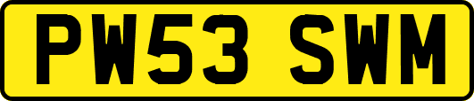 PW53SWM