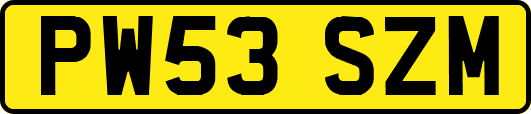 PW53SZM